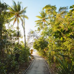 Dubuji Boardwalk through the foothills of Mount Alexandra. (Image: Tourism Australia)
