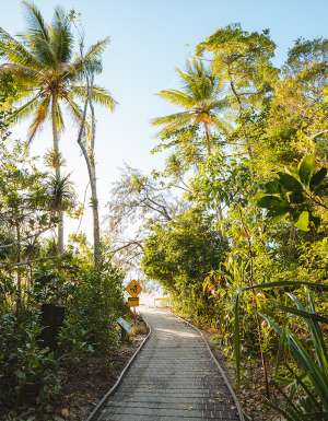 Dubuji Boardwalk through the foothills of Mount Alexandra. (Image: Tourism Australia)