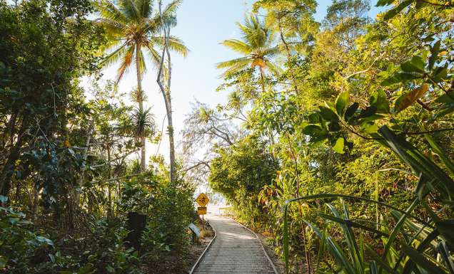 Dubuji Boardwalk through the foothills of Mount Alexandra. (Image: Tourism Australia)