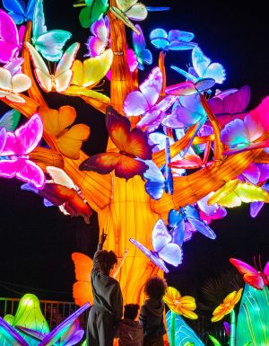 GLOW at Sydney Zoo, NSW