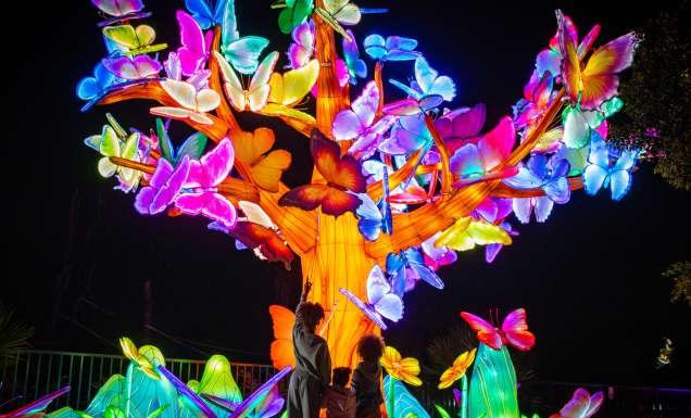 GLOW at Sydney Zoo, NSW