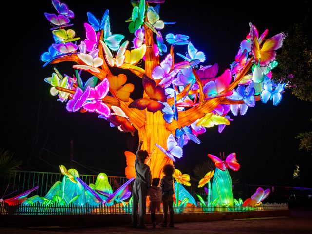 GLOW at Sydney Zoo, NSW