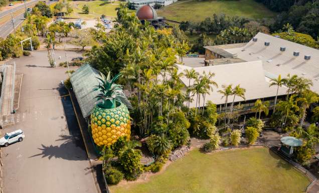 Aerial shot of The Big Pineapple