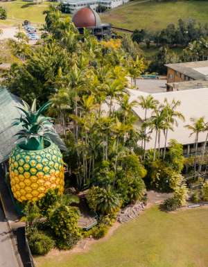 Aerial shot of The Big Pineapple