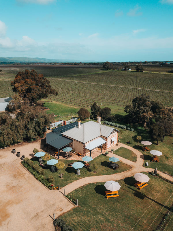 an aerial view of Lino Ramble