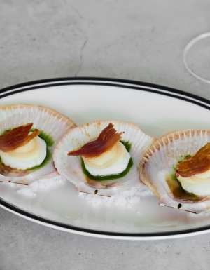 scallops at Vivo Palm Cove