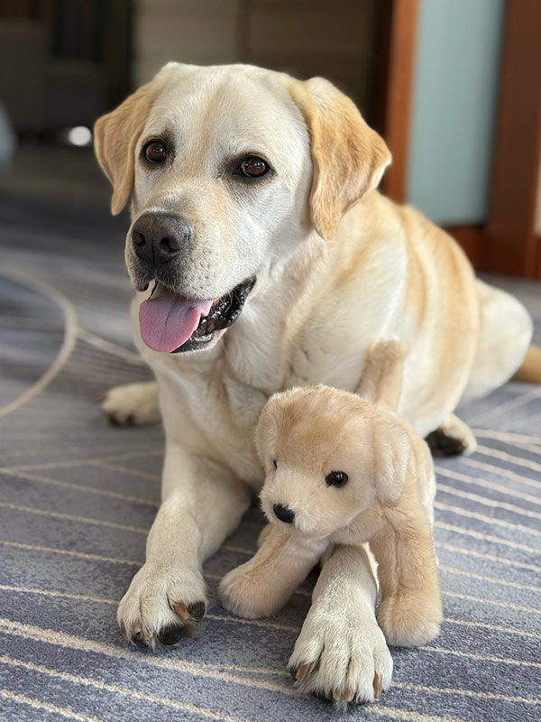 Crescendo Charlie, ambassedor of park hyatt melbourne