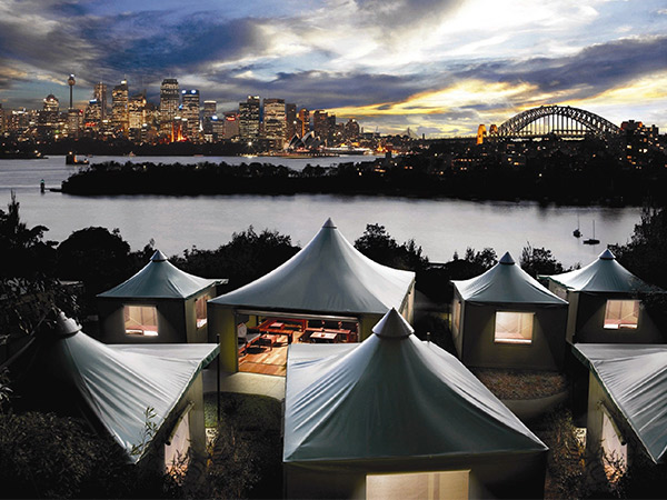 view from the tents at taronga zoo wine safari roar and snore experience sydney