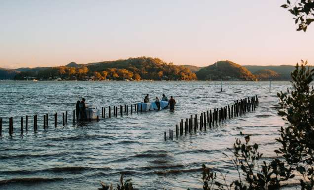 guests in the water for an experience at Sydney Oyster Farm - Central Coast food