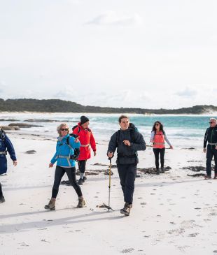 <p>The <strong>Tassie</strong> walk to do when you&#8217;re <i>not sure</i> you can hike</p>
