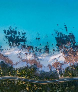 <p>9 <i>scenic road trip getaways</i> to plan this year</p>

