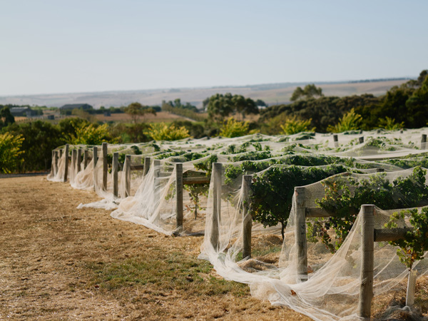 Wine by Farr in Geelong, Victoria