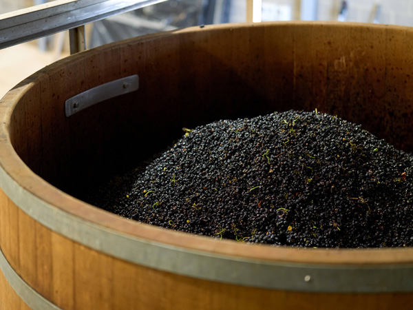 Wine by Farr in Geelong, Victoria