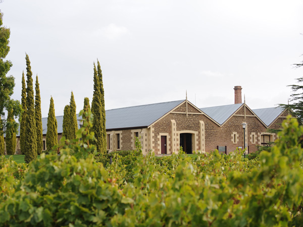 Wynns Coonawarra Estate in South Australia