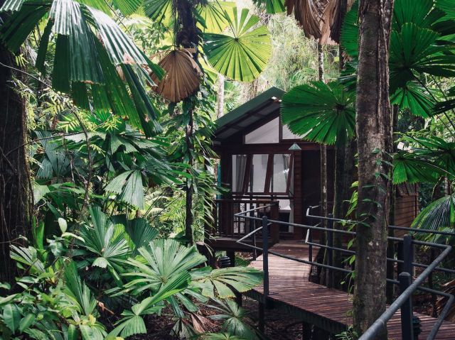Daintree Wilderness Lodge exterior