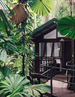 Daintree Wilderness Lodge exterior