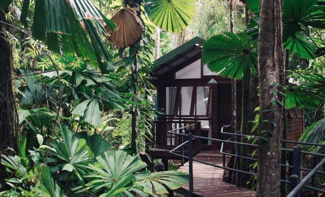 Daintree Wilderness Lodge exterior