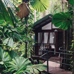 Daintree Wilderness Lodge exterior