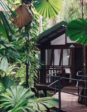 Daintree Wilderness Lodge exterior