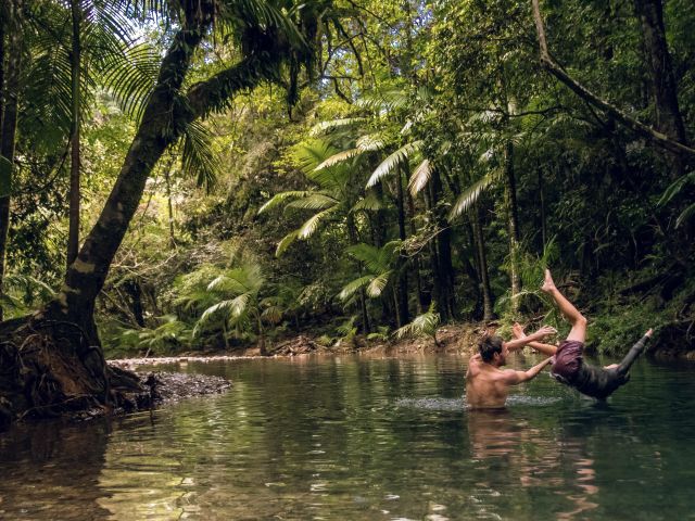 the Daintree Discovery Tours