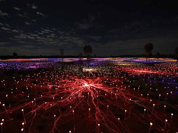 Uluṟu Field of Light 
