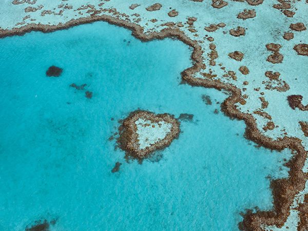 Aerial view of Heart Reef