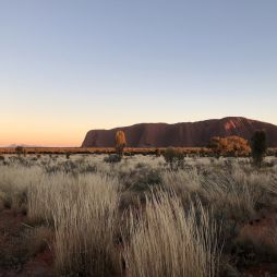 Why these Aussie couples have visited Uluṟu so much they’ve lost count