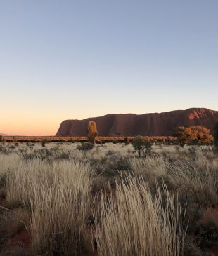 <p>Why these <i>Aussie couples</i> have visited <strong>Uluṟu</strong> so much they’ve lost count</p>
