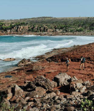 <p>This <i>newly upgraded</i> coastal walk in <strong>NSW</strong> is perfect for <i>whale spotting</i></p>
