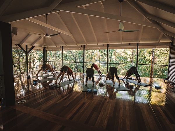 People taking a yoga class at Silky Oaks Lodge Silky Sanctuary.