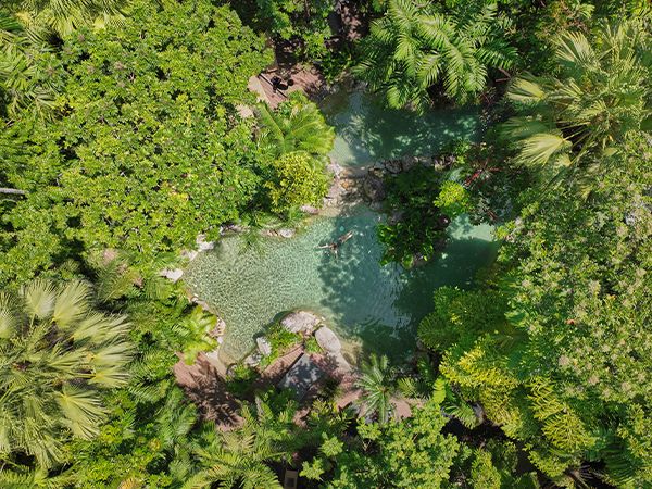 The lagoon-style pool at Silky Oaks Lodge.