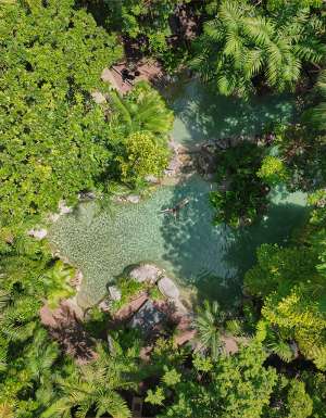 Silky Oaks Lodge Silky Sanctuary