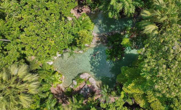 Silky Oaks Lodge Silky Sanctuary