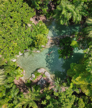 <p>This <i>3-night wellness retreat</i> is hidden in an <i>ancient rainforest</i></p>
