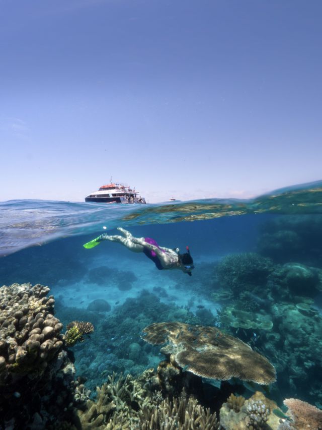 Flynn Reef, Cairns