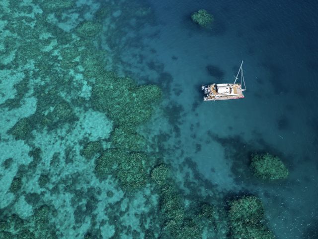 Hastings Reef, Cairns
