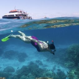 Flynn Reef, Cairns