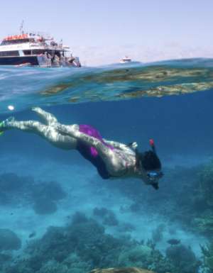 Flynn Reef, Cairns
