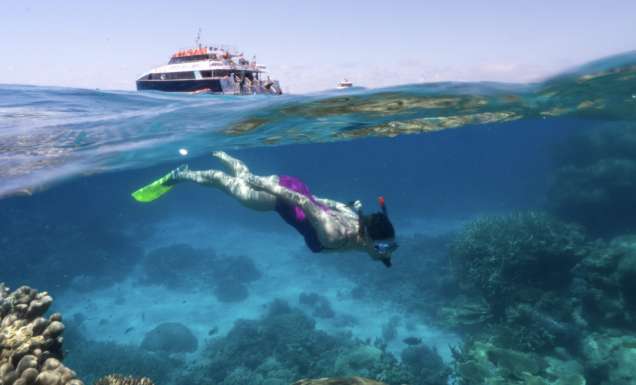 Flynn Reef, Cairns