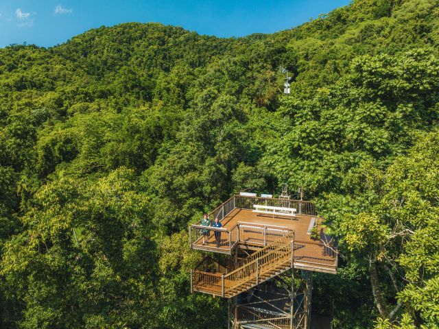 Daintree Treetops Adventure, Cape Tribulation