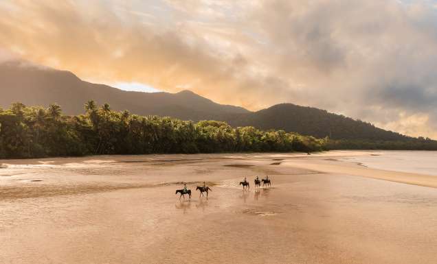 Cape Trib Horse Rides, Myall Beach
