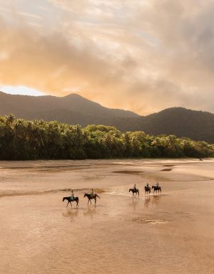 Cape Trib Horse Rides, Myall Beach