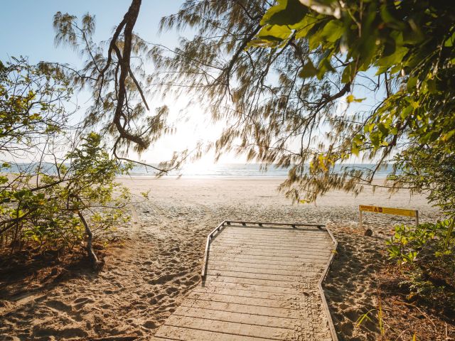 the Dubuji Boardwalk, Daintree