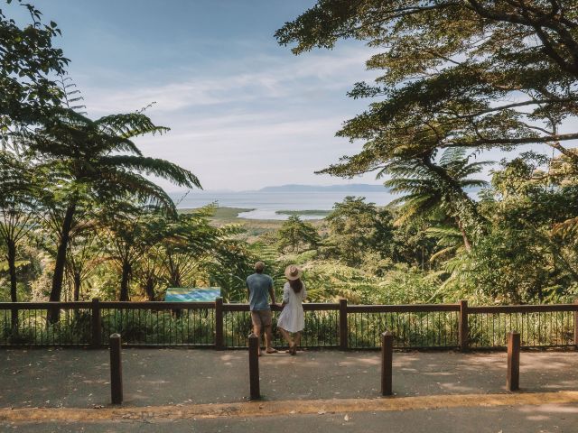 vistas from Mount Alexandra lookout