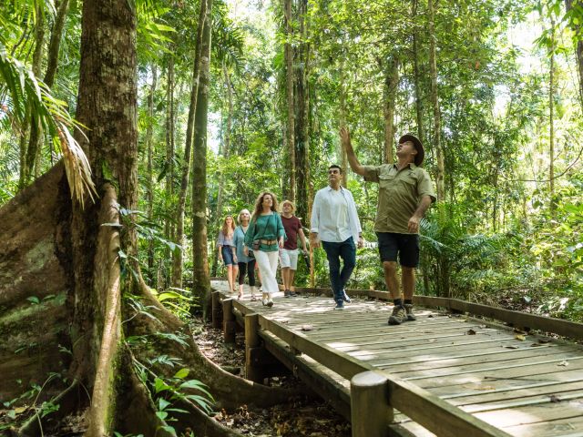 Jindalba boardwalk, Daintree