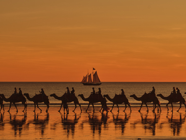 Willie Cruises, Broome, camels on Cable Beach at sunset