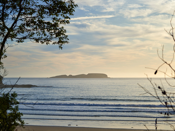 Munjip Trail in Eurobodalla, NSW
