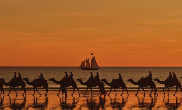 Willie Cruises, Broome, camels on Cable Beach at sunset