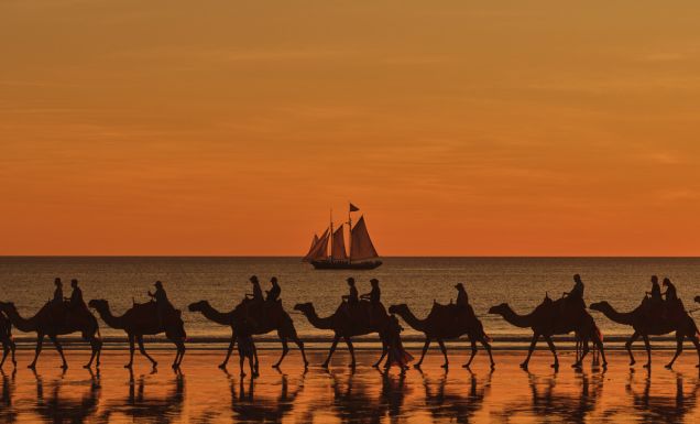 Willie Cruises, Broome, camels on Cable Beach at sunset