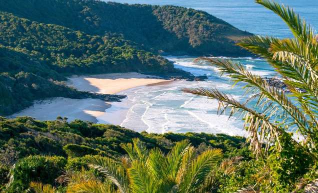 Views of North Smoky Beach from Smoky Cape Lighthouse in Hat Head National Park, Arakoon